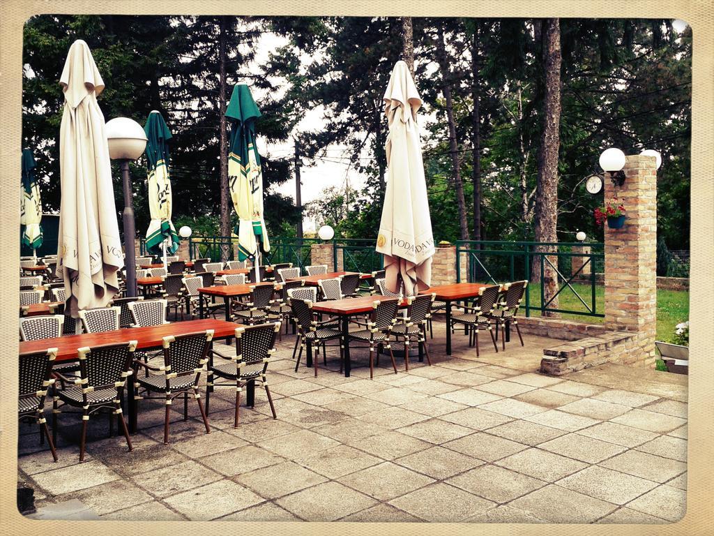 Hotel 1000 Ruza Belgrado Exterior foto